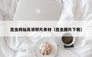 当阳昆虫网站高清照片素材（昆虫图片下载）